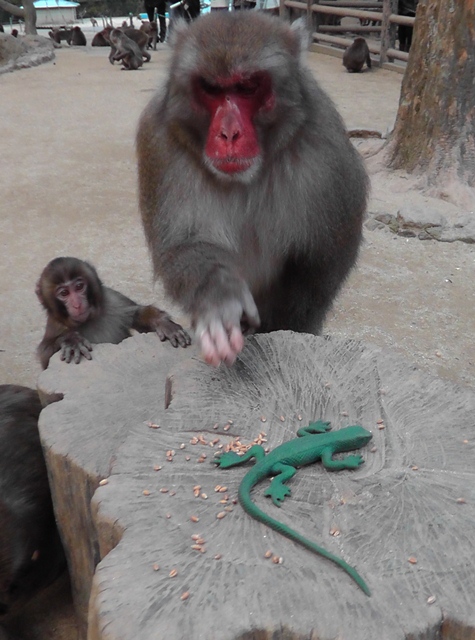 ナンチュウとトカゲ