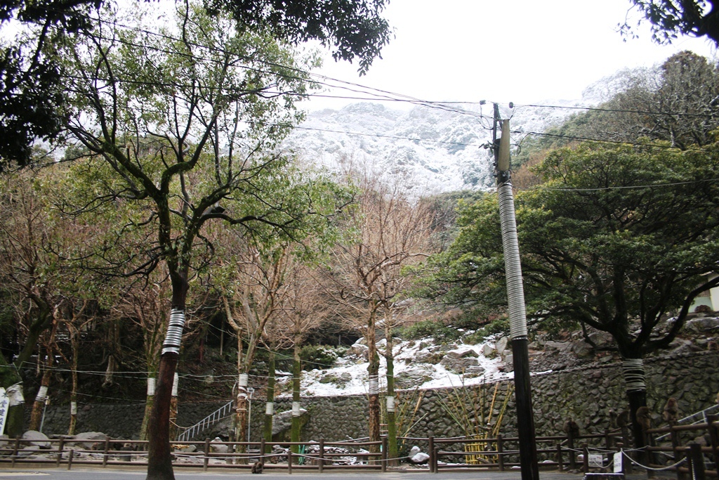 サル寄せ場雪景色