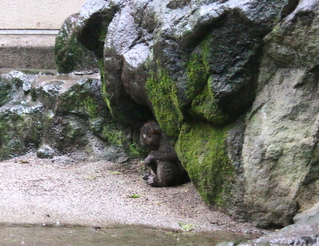 居眠り中